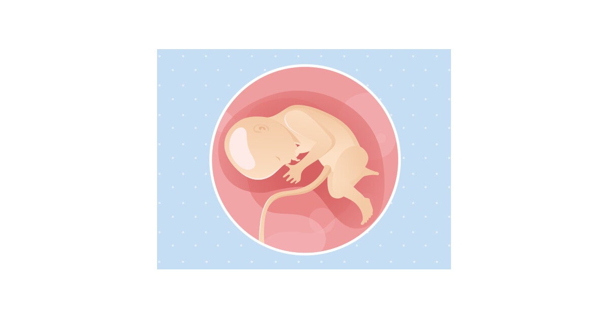 33ème semaine de grossesse 35 SA Nestlé Bébé